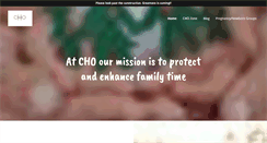 Desktop Screenshot of chiefholisticofficer.com