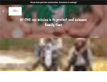 Tablet Screenshot of chiefholisticofficer.com